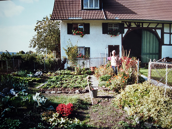 01 Garten 578