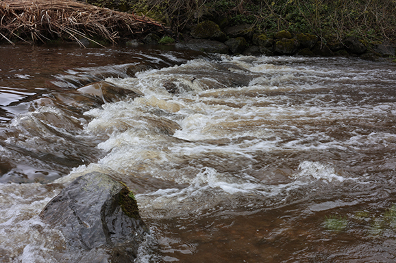 02Aitrach Wildwasseer