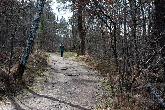 02beruhigende Wirkung der Riedpfade