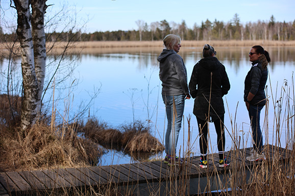 04seit Mittwoch in Kur in Bad Wurza h erstmal das ried erkunden