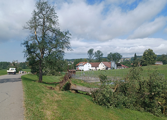 13SturmZufahrt Steegersee