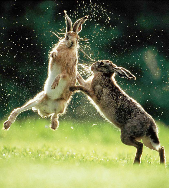 Ostern BLIX April03 Foto Manfred Danegger Neu