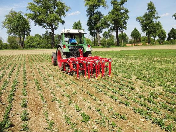 Hackstriegel zur Unkrautbekämpfung ohne chemische Spritzmittel Foto Landwirtschaftsamt