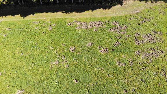 Sauenschaden Flst. 370 5