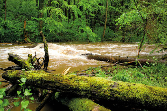 Wolfegger Ach Weissenbronnen Altdorfer Wald