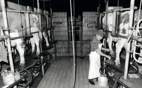 Dorfleben in den 80er Jahren5