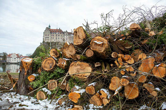 Hotel BÃume 13 IMGL6490