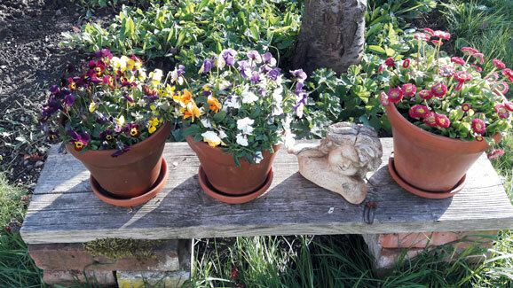 20170429 183824 resized be