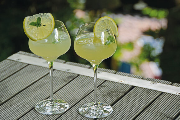 Ein kuehler Aperitiv mit Zitronenlikoer und Tonic Water macht den Anfang