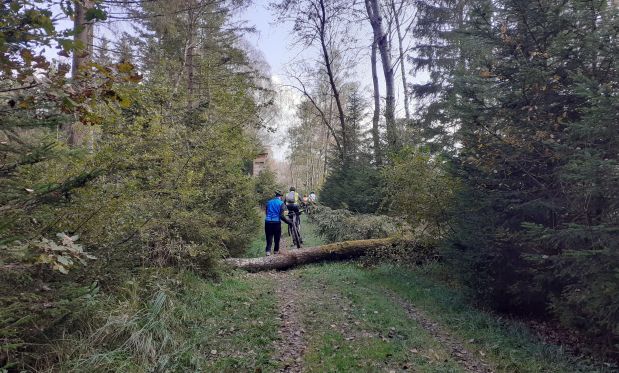 20211016 150857 (002)