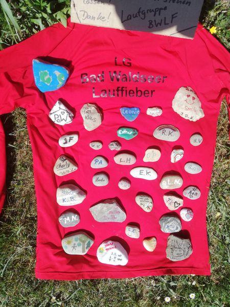 Steine Lauffieber auf Trikot