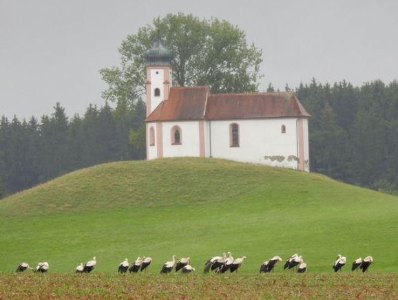 31storch kapelle