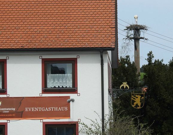 storch