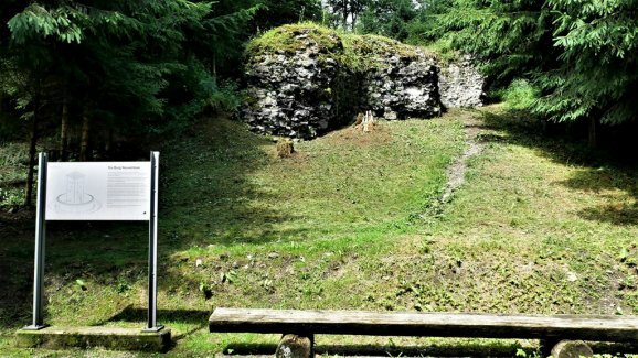 freier Blick zur Burgruine1 578