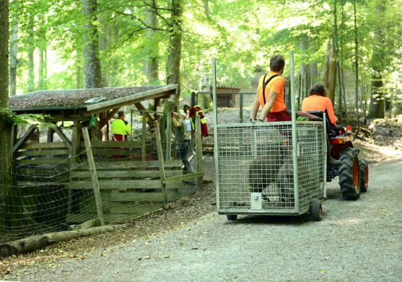 08Transport 3 bearbeitet 1