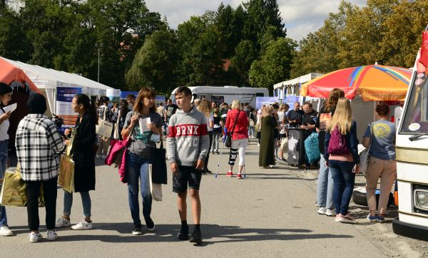 DSC4650 bearbeitet 1