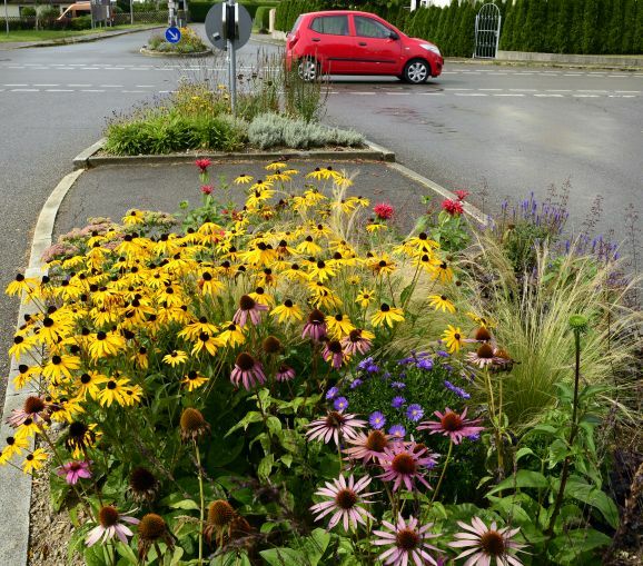 13Reute Buntes Verkehrsgrün 2
