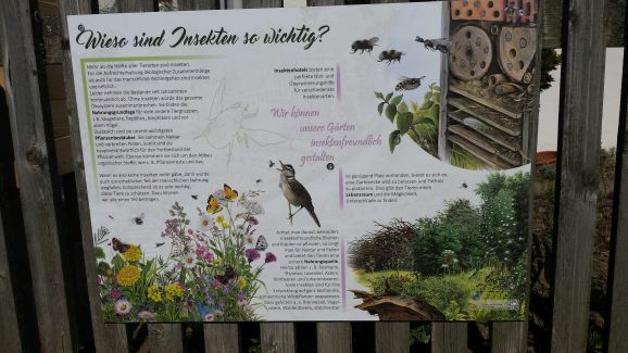 25InshotSchuleInfotafel