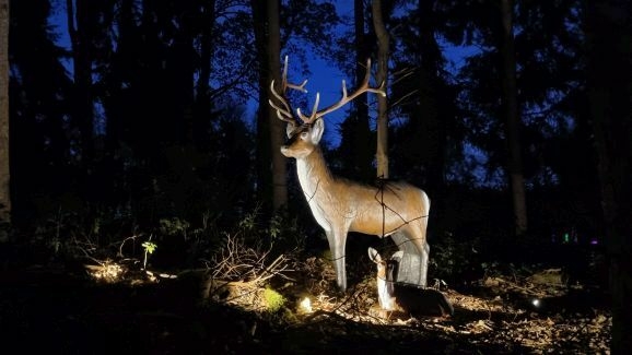 Fuerstliches Winterleuchten Bad Waldsee Tierwaeldchen 2