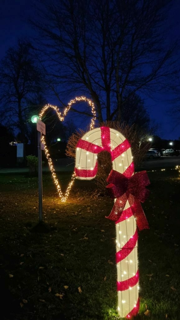 Fuerstliches Winterleuchten Bad Waldsee Zuckerstangenweg 2