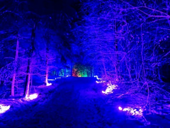 WWWinterleuchten Winterzauber Bad Waldsee Lichterwald blau2