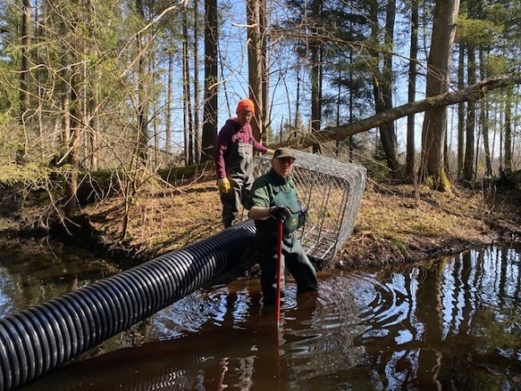 12Titelseite Bibermanagement im Steinacher Ried Bild mitte