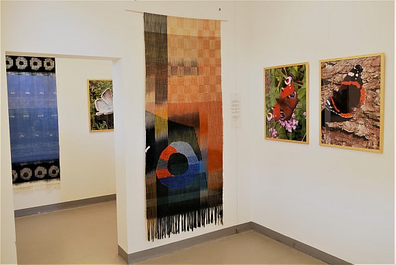 Ausstellung Schmetterlinge in Realitaet und Imagination Foto L A  Dippel (2)