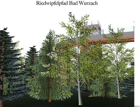 Riedwipfel 01