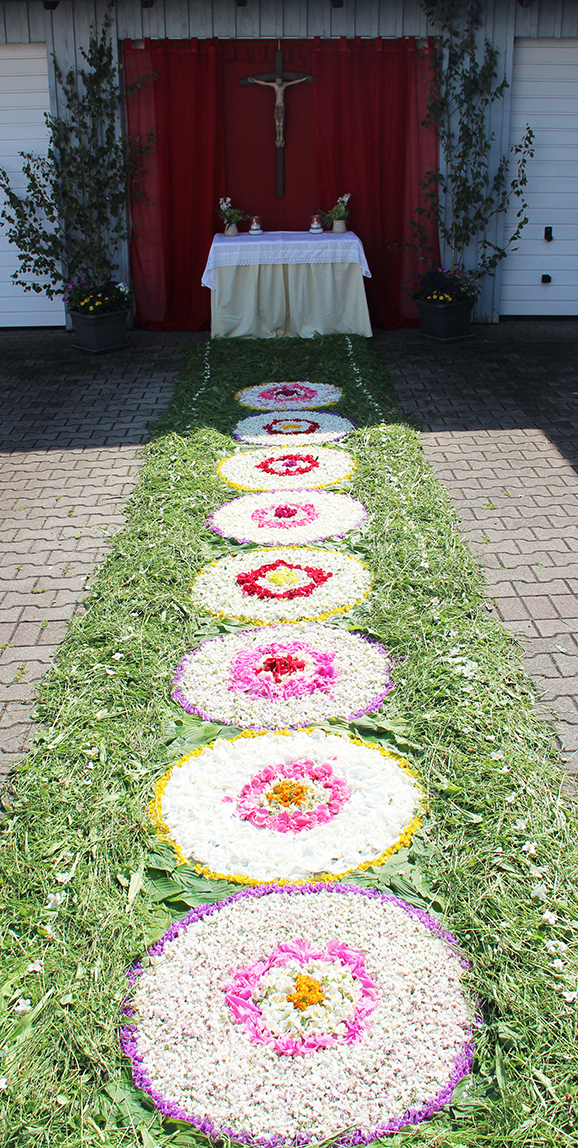 18 8.Blumenteppich Minispsd