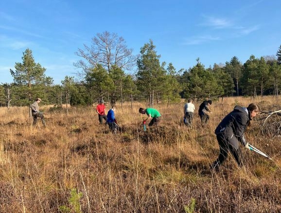 NAZ Wurzacher Ried PM Ein Jahr im Einsatz für das Moor Foto 2 NAZ