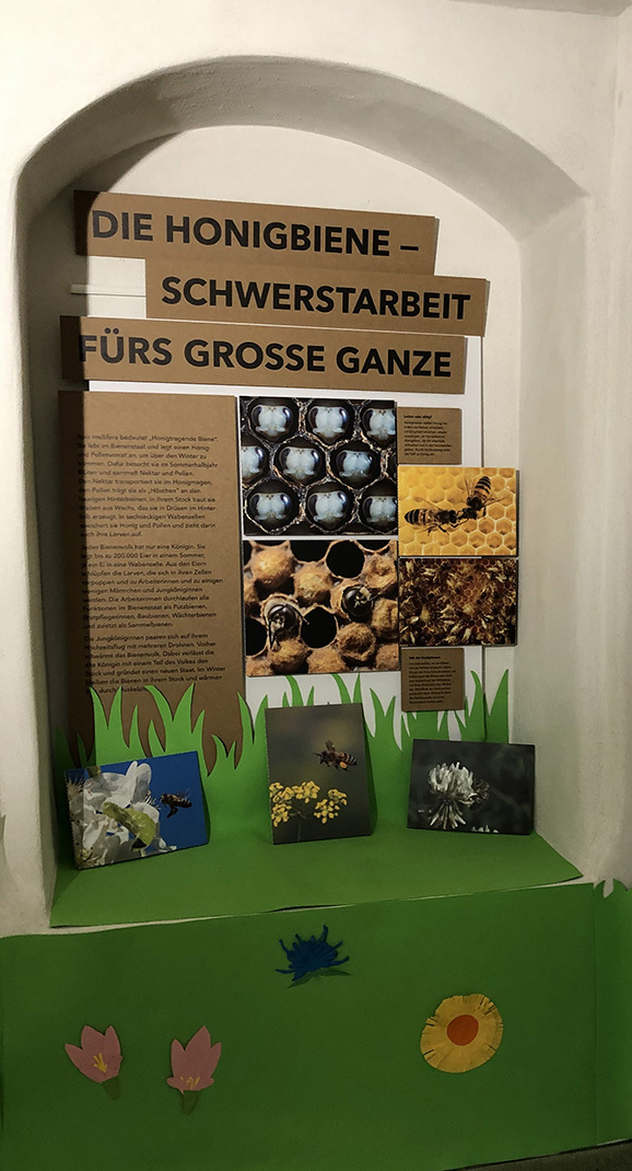 2Pfingstferien Quiz2 Foto NAZ