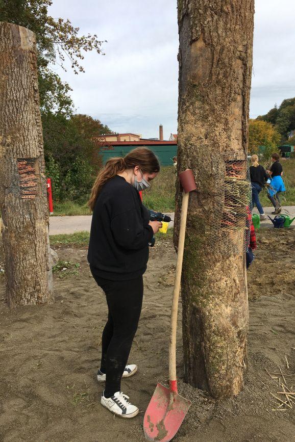 12wildbienen projekt aufbau1