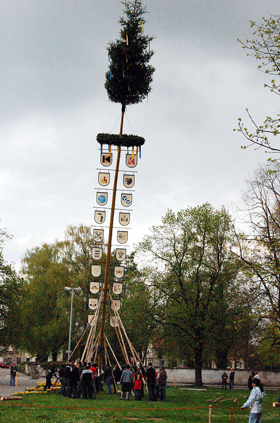 29Mai Bild unten 2010b