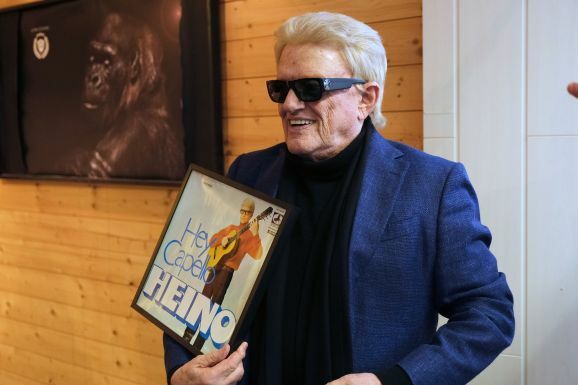 heino alpha cooling 04