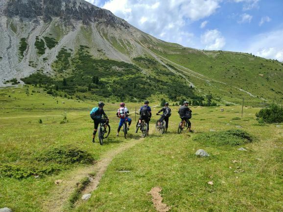 gemässigtes Gelände