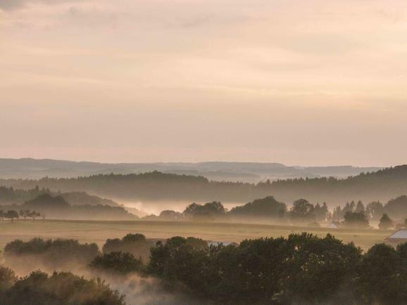 ww07 P1690330 Raw rr