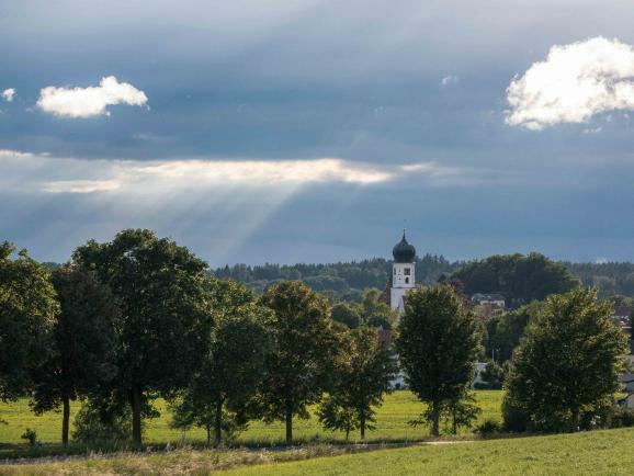 ww08 P1790677 Raw Brr