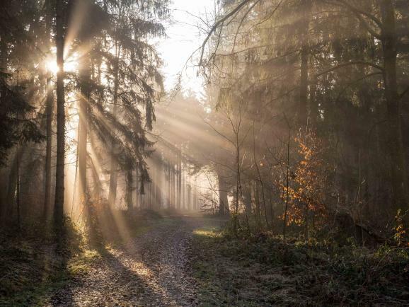 ww11 P1360989 Raw rr