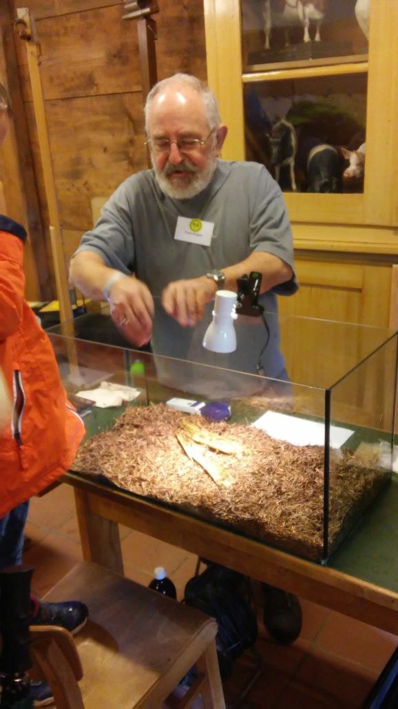 07Bienen Fische Wildtiere 2016 Brauchle