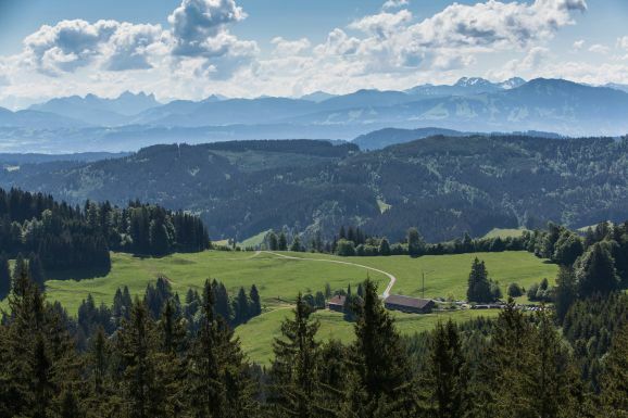 17Die Alpe Wenger Egg auf der Adelegg Ernst Fesseler