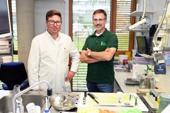 26Jentzmik Alfer1 klein