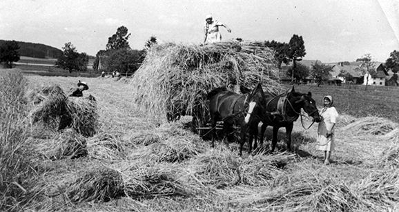 23 11 1945 Garbenladen vor 1945 Kopie