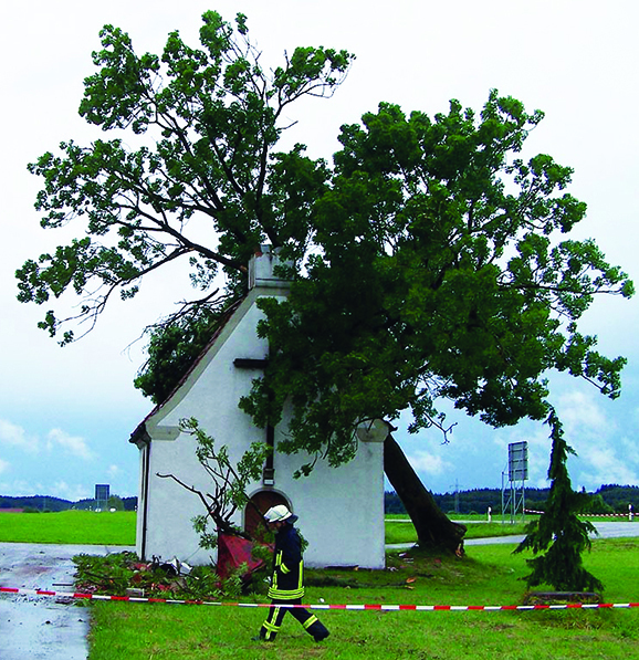 23 15 Esche 21.6.2007 Kopie 2