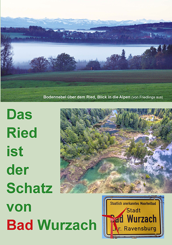 Flyer S.1