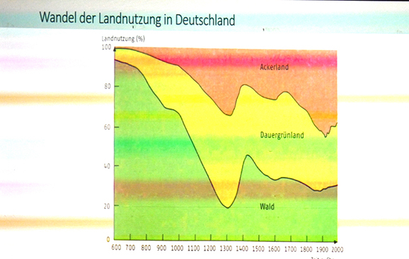 Landnutzung